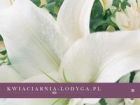 Miniatura strony kwiaciarnia-lodyga.pl