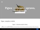 Miniatura strony pigwa.com.pl