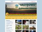 Miniatura strony polnica-grzybowo.com.pl