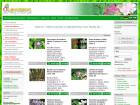 Miniatura strony oleander.pl