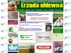 Miniatura strony trzoda-chlewna.com.pl
