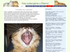 Miniatura strony koty.syberyjskie.warmia.net