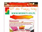 Miniatura strony webneti.gsi.pl