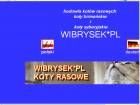 Miniatura strony wibrysek.com.pl