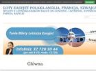 Miniatura strony tanie-loty-easyjet.pl
