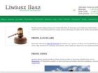Miniatura strony polski-adwokat-ny.com