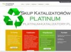 Miniatura strony platinum-katalizatory.pl