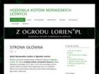 Miniatura strony z-ogrodu-lorien.pl