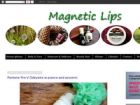 Miniatura strony magnetic-lips.blogspot.com