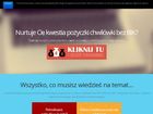 Miniatura strony pewnygrosz.com.pl