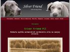 Miniatura strony silverfriend.pl
