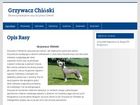 Miniatura strony chinskigrzywacz.pl