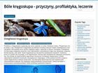 Miniatura strony bolekregoslupa.info.pl