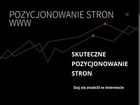 Miniatura strony pozycjonowanie.torun.pl