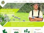 Miniatura strony eko-insektor.pl