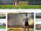 Miniatura strony akademiamistrzowfutbolu.pl