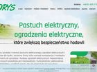 Miniatura strony pastuchyborys.pl