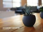 Miniatura strony academy-crypto.com