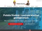 Miniatura strony polskiestudnie.pl