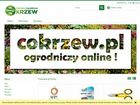 Miniatura strony cokrzew.pl