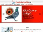 Miniatura strony golebie24.pl