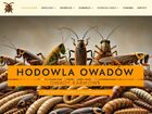 Miniatura strony hodowlaowadow.pl