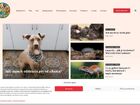 Miniatura strony rynekzoologiczny.pl
